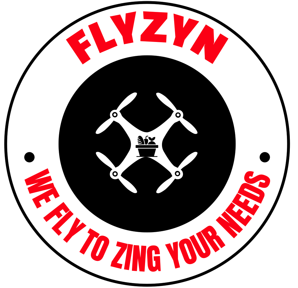 Flyzyn Logo